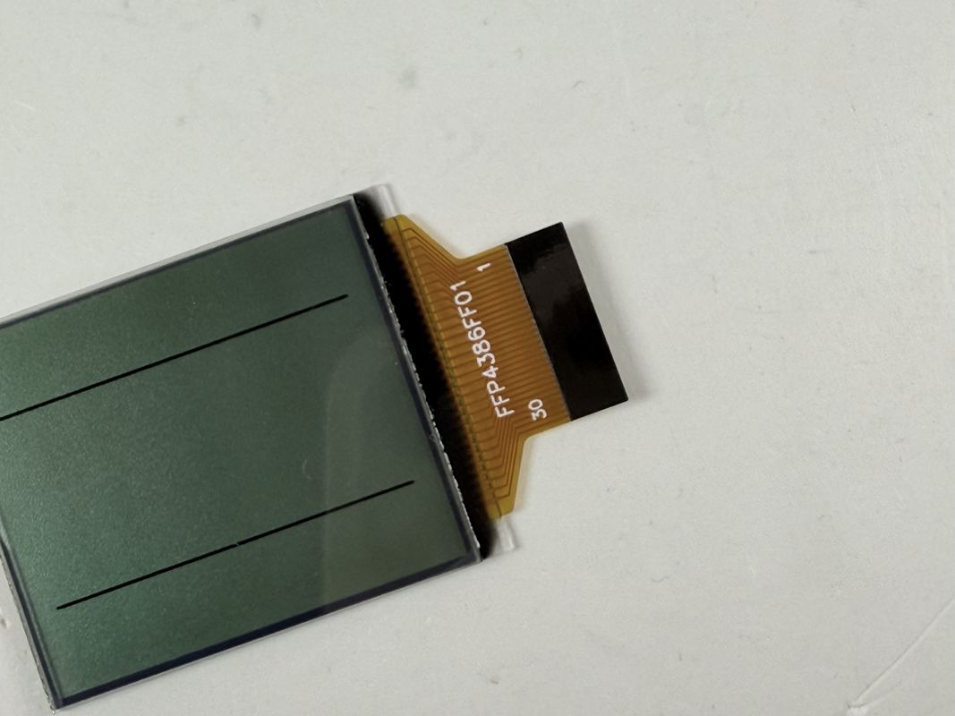 Layar LCD Kustom FSTN Hitam dan Putih | LCD segmen monokrom untuk aplikasi industri dan elektronik