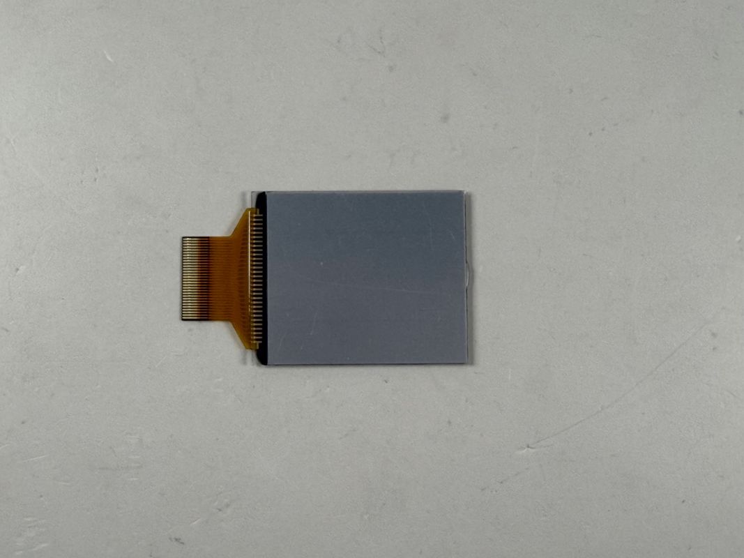 Layar LCD Kustom FSTN Hitam dan Putih | LCD segmen monokrom untuk aplikasi industri dan elektronik