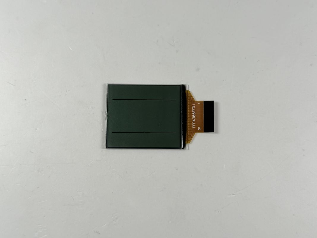 Layar LCD Kustom FSTN Hitam dan Putih | LCD segmen monokrom untuk aplikasi industri dan elektronik